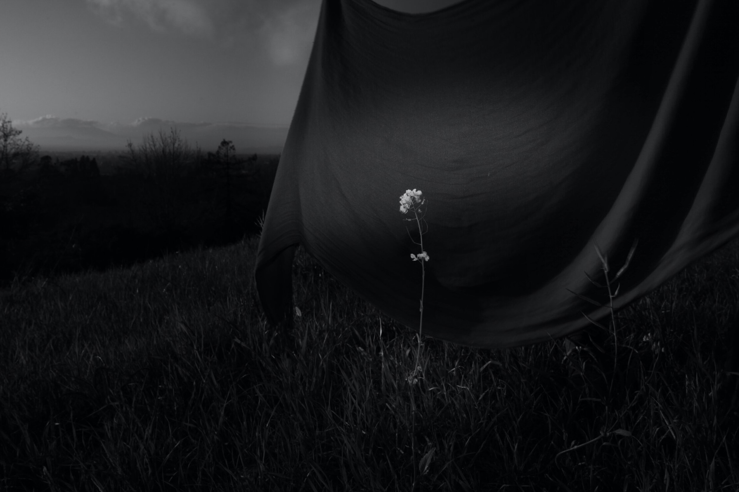 Diamond in the rough ARCHIVE 006