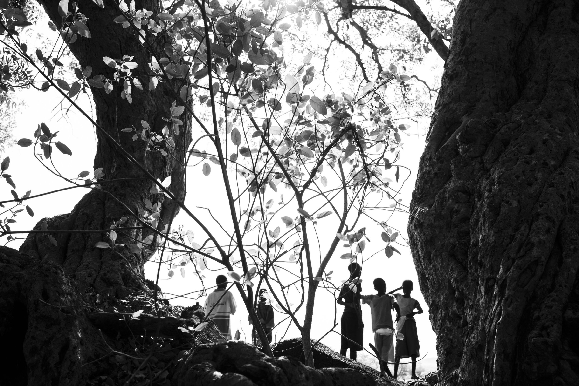 Nuba Edit0004