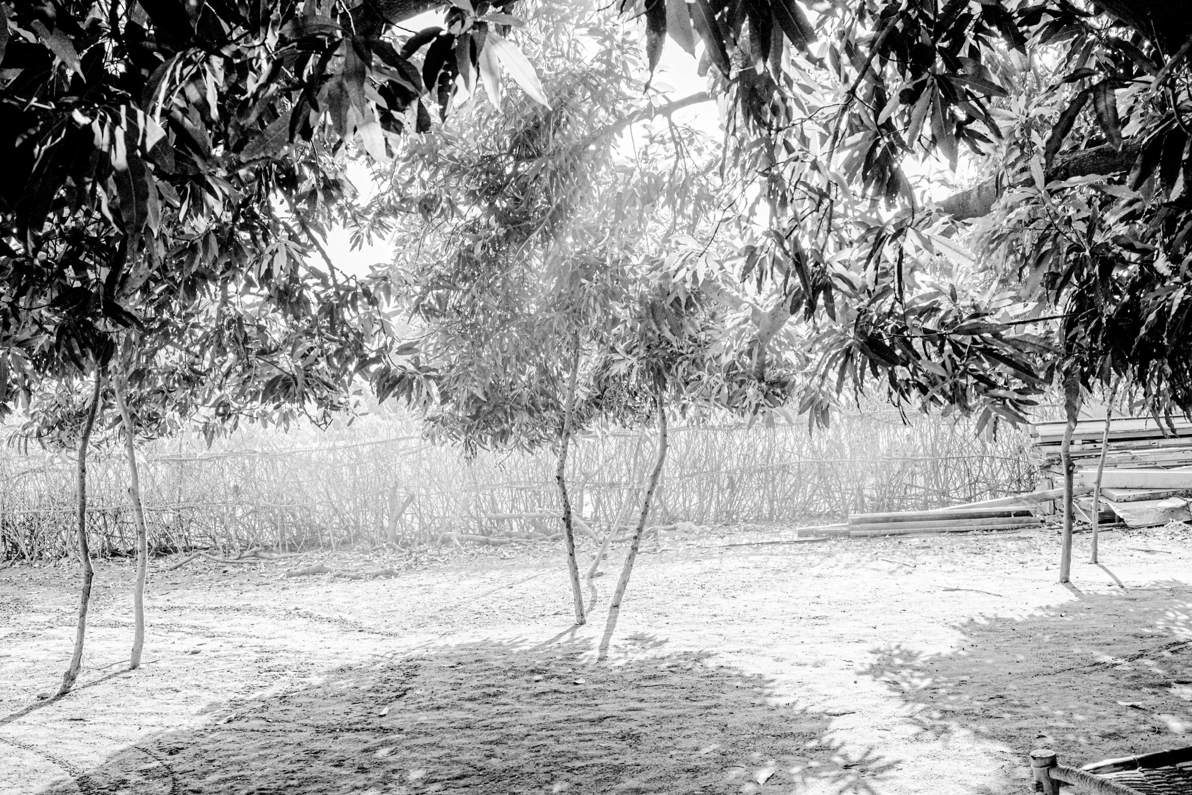 Nuba Edit0010