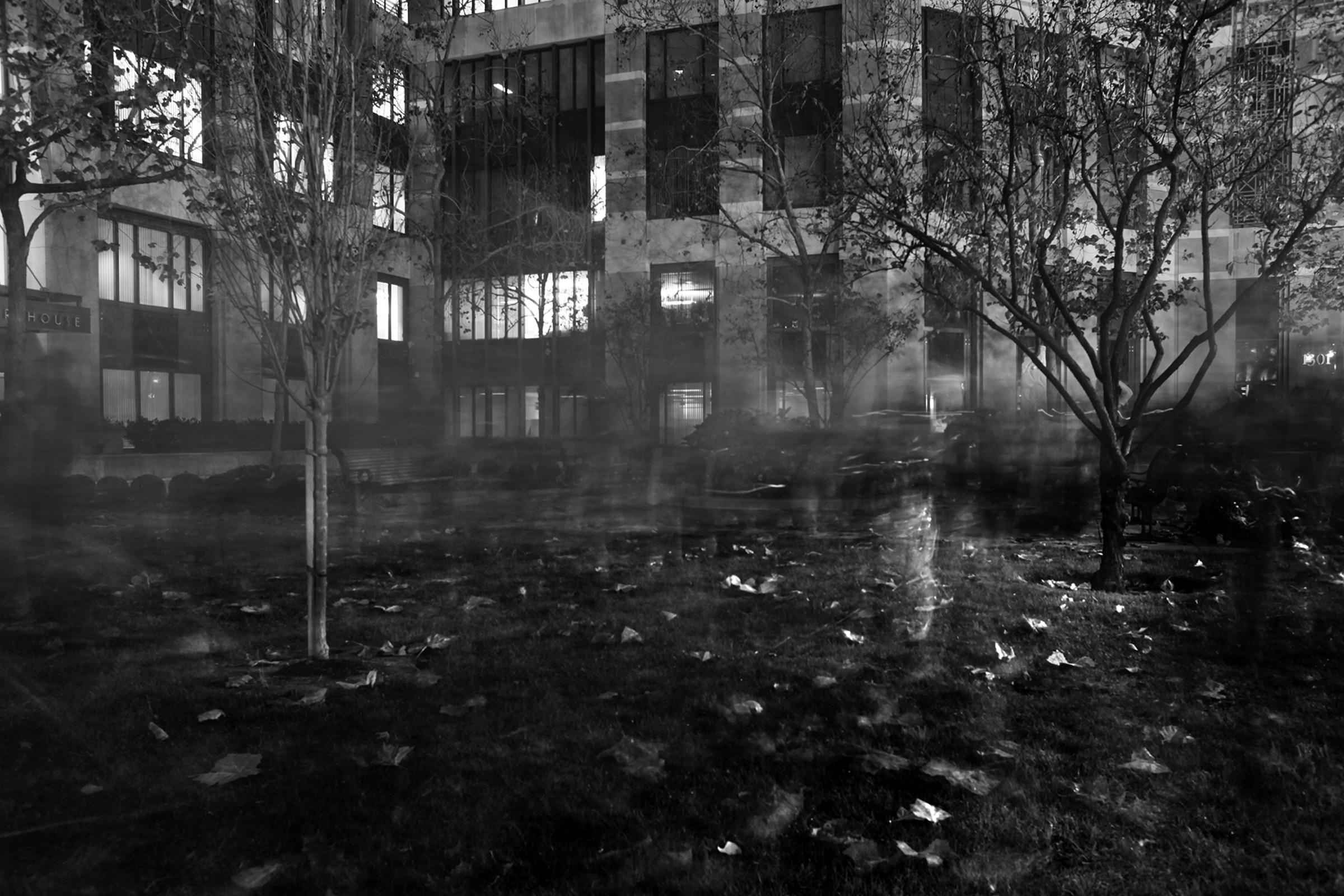 Archive Wolson BLM 005