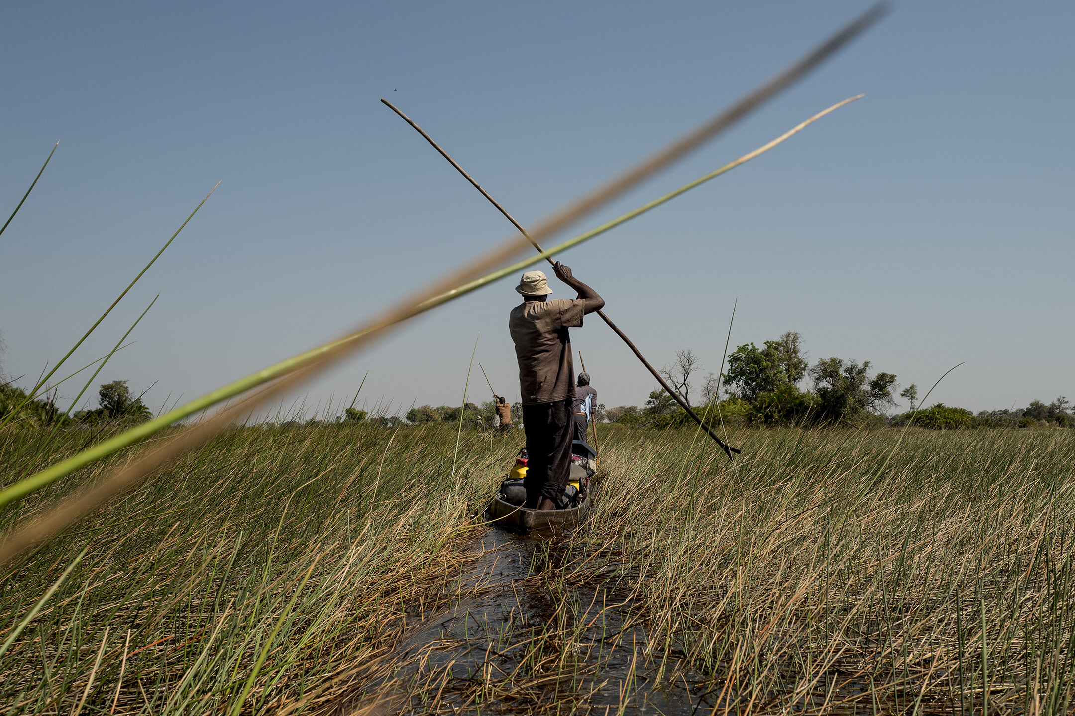Okavango 06