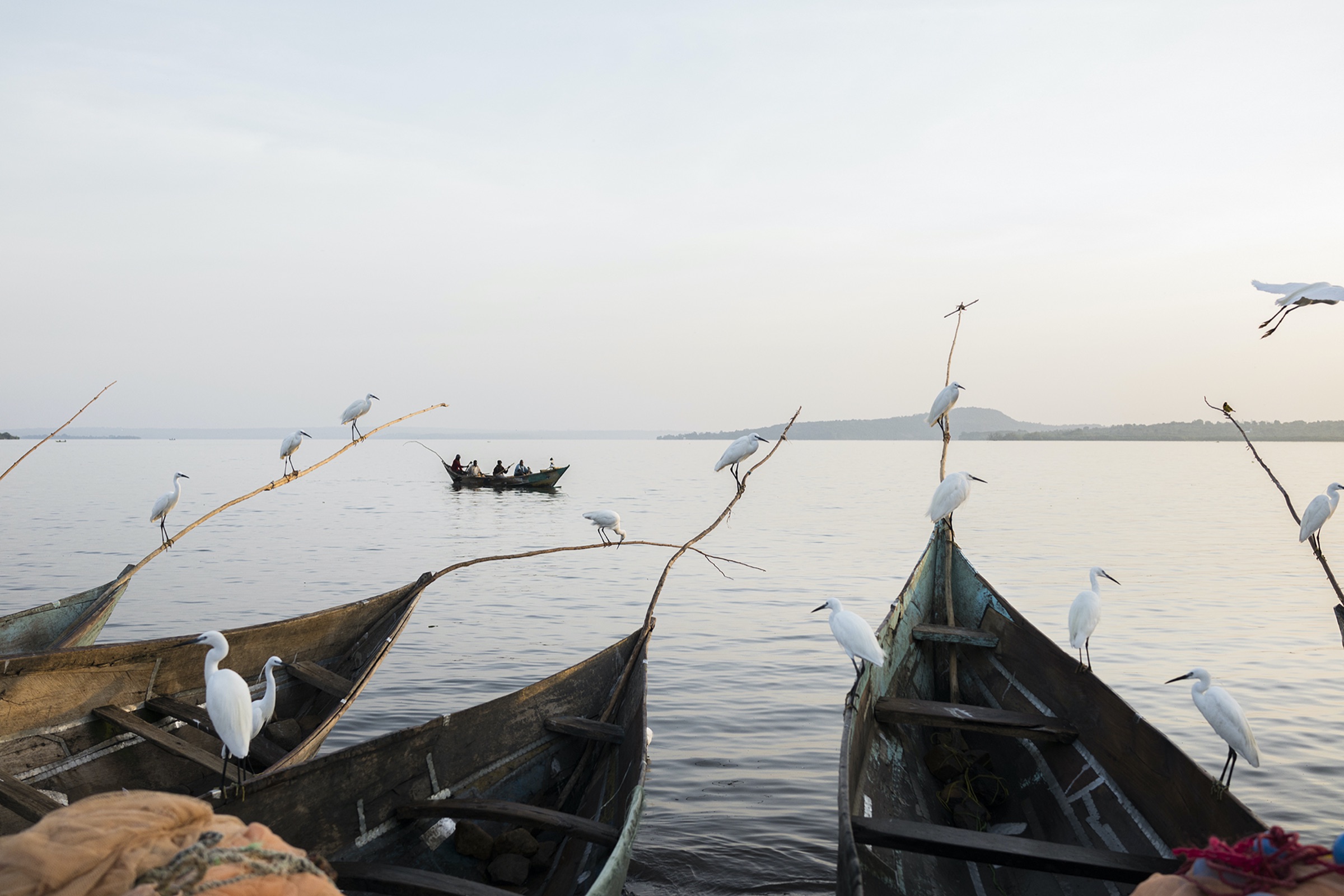 Africa Assignments 050